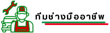 ทีมช่างมืออาชีพ